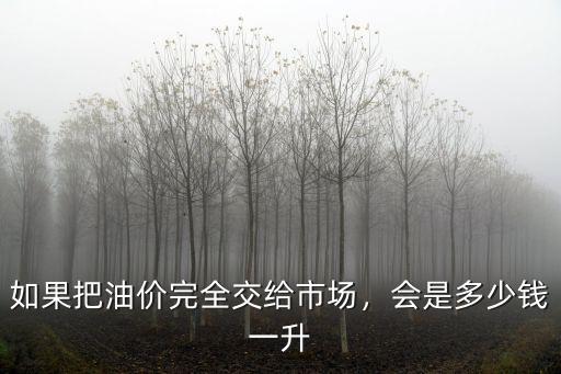 滄州的油價是多少錢一升,會是多少錢一升