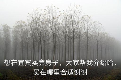 宜賓的江北新區(qū)在哪里,宜賓未來的城市中心在哪里