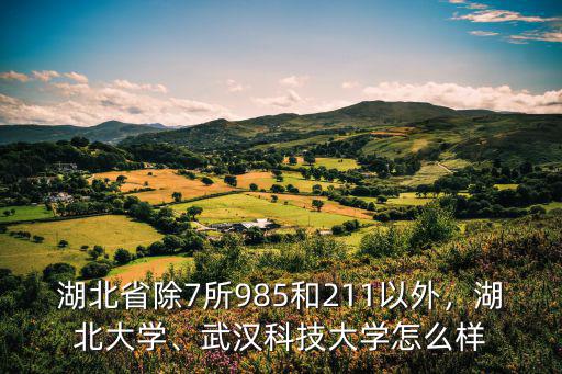 武漢領(lǐng)格卓越教育怎么樣,卓越教育好不好
