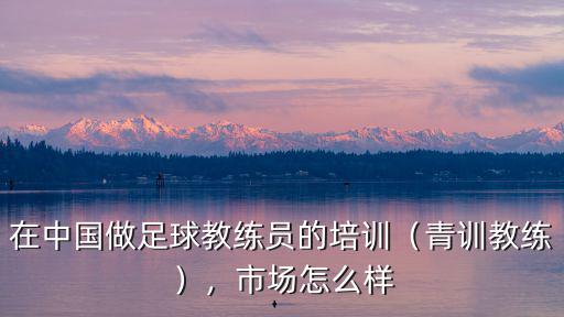 德陽在哪里參加足球教練員培訓,在中國做足球教練員的培訓