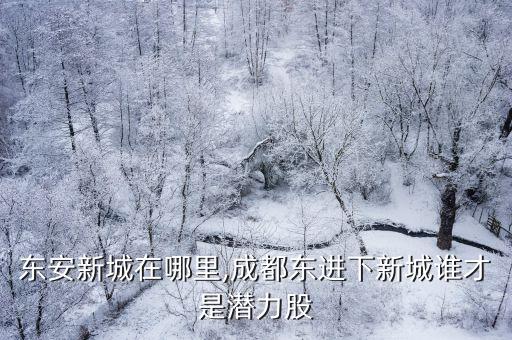 成都東安新城在哪里,成都東進下新城誰才是潛力股