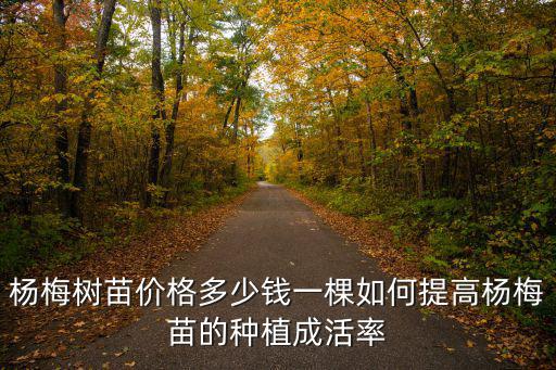 種植楊梅樹苗需要放多少復合肥,楊梅樹苗價格多少錢一棵