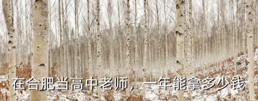 安徽當老師一年拿多少工資待遇,一年能拿多少錢