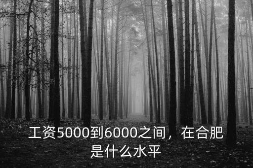 合肥4000到手工資是多少,在合肥是什么水平