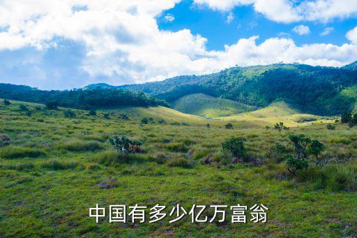 淮北億萬富翁有多少,中國有多少億萬富翁