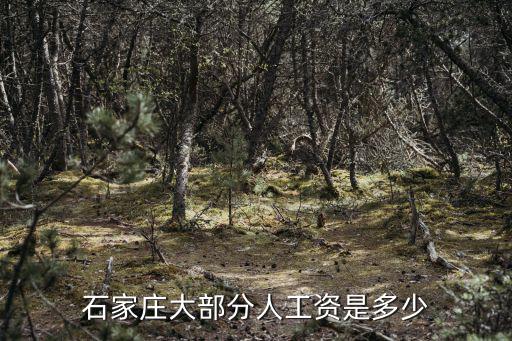 石家莊教官工資多少,石家莊大部分人工資是多少