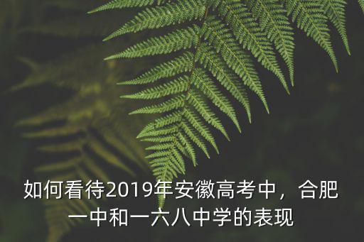 如何看待2019年安徽高考中，合肥一中和一六八中學的表現