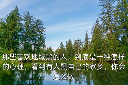 地域黑怎么黑湖北的,網上的地域黑