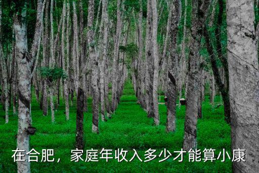 合肥家庭多少收入,家庭年收入多少才能算小康