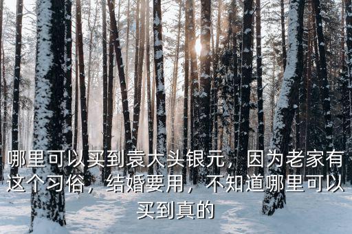 哪里可以買到袁大頭銀元，因為老家有這個習俗，結婚要用，不知道哪里可以買到真的