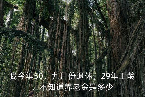 我今年50，九月份退休，29年工齡，不知道養老金是多少