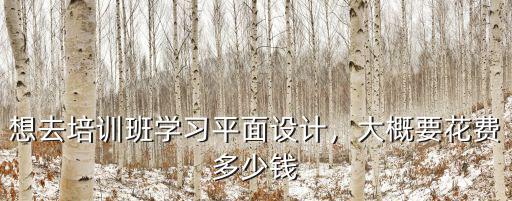 想去培訓班學習平面設計，大概要花費多少錢