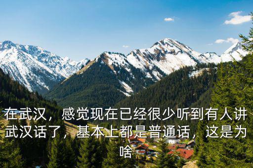 武漢話小說怎么說,不會(huì)說武漢話