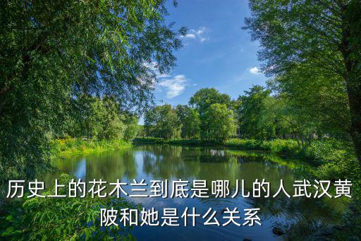 武漢黃陂木蘭小學(xué)怎么樣,武漢黃陂區(qū)的發(fā)展趨勢怎么樣