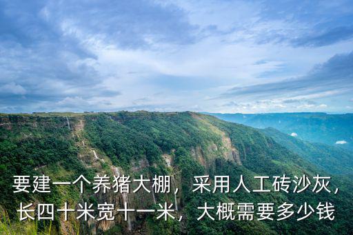 衡水建養豬大棚多少錢一平米,要建一個養豬大棚