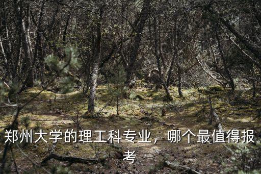 鄭州大學情報學專業研究生怎么樣,鄭州大學考研怎么樣