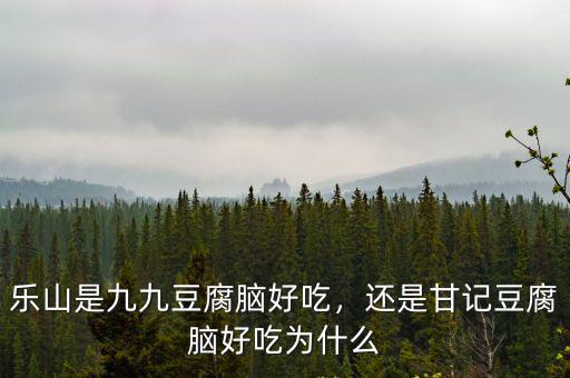 樂山哪里可以學做豆腐腦,樂山是九九豆腐腦好吃