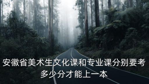 安徽省美術生文化課和專業課分別要考多少分才能上一本