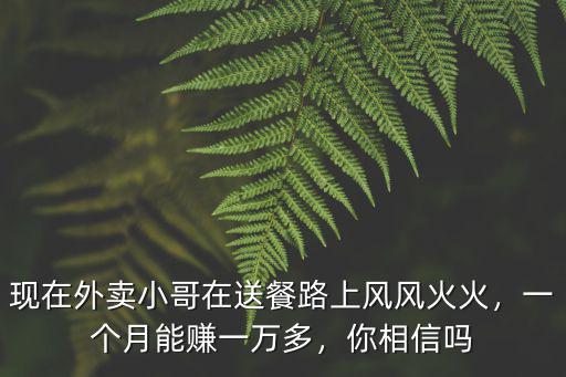 六安省外賣小哥一個(gè)月能賺多少,送外賣一個(gè)月能賺多少