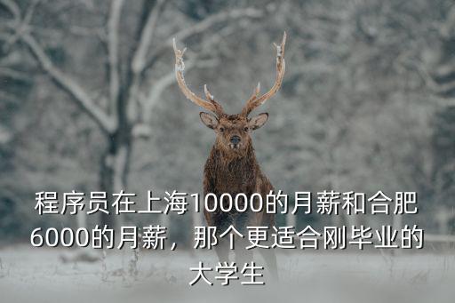 程序員在上海10000的月薪和合肥6000的月薪，那個更適合剛畢業(yè)的大學生