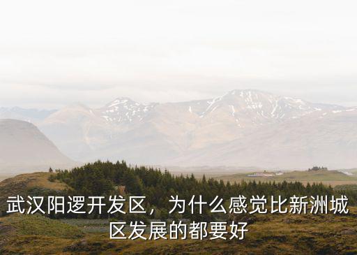 武漢陽邏開發區，為什么感覺比新洲城區發展的都要好