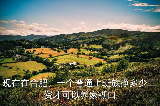 現在在合肥，一個普通上班族掙多少工資才可以養家糊口