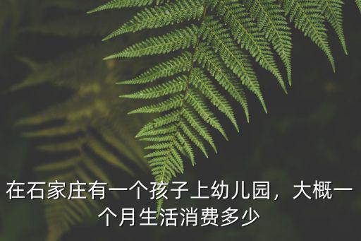 在石家莊有一個孩子上幼兒園，大概一個月生活消費多少