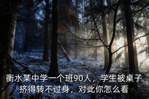 衡水市第三中學(xué)一個(gè)班多少學(xué)生,衡水某中學(xué)一個(gè)班90人