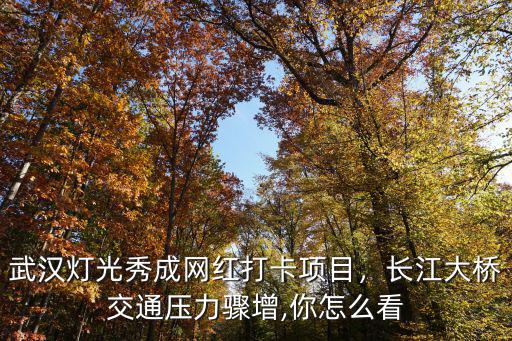 武漢燈光秀成網(wǎng)紅打卡項(xiàng)目，長(zhǎng)江大橋交通壓力驟增,你怎么看