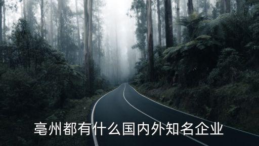 亳州都有什么國(guó)內(nèi)外知名企業(yè)