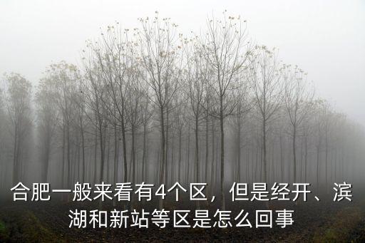 合肥有多少的區,合肥一般來看有4個區