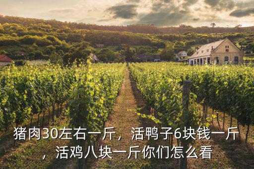 唐山活鴨多少錢一斤,豬肉30左右一斤