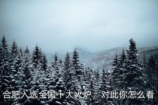 合肥十大火爐有多少,中國有四大火爐城市