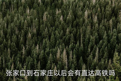 石家莊到北京高鐵多少時間到站,石家莊到北京5分鐘