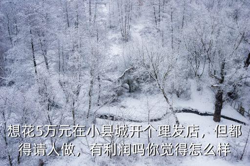 在淮南開個理發店得多少錢,但都得請人做