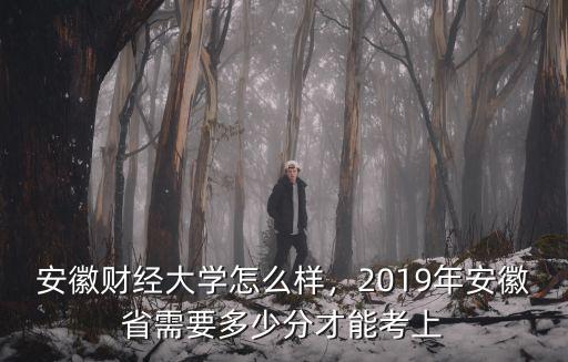 安徽財經(jīng)大學(xué)美術(shù)招到多少名,安徽財經(jīng)大學(xué)怎么樣