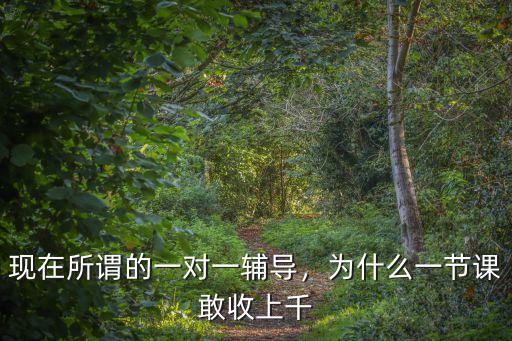宣城一對(duì)一家教多少錢一節(jié)課,一般一小時(shí)多少錢