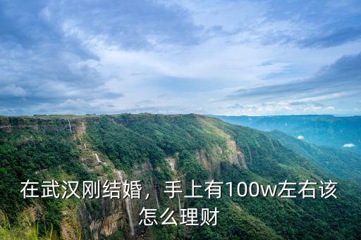 在武漢剛結婚，手上有100w左右該怎么理財
