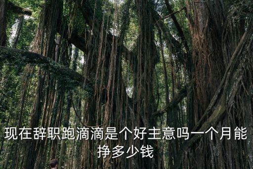 合肥跑滴滴能賺多少錢,現(xiàn)在辭職跑滴滴是個(gè)好主意嗎