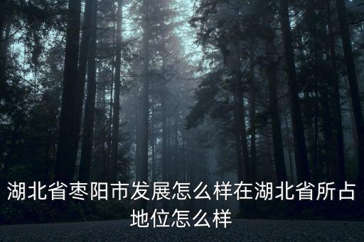 棗陽市湖北大漢公司辦公樓怎么樣,湖北省棗陽市發(fā)展怎么樣