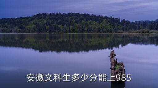 安徽省文科超一本線多少分可以上211,超一本線60分