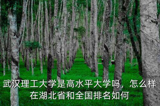 武漢理工大學(xué)蘇寶連課題組怎么樣,武漢理工大學(xué)口碑怎么樣