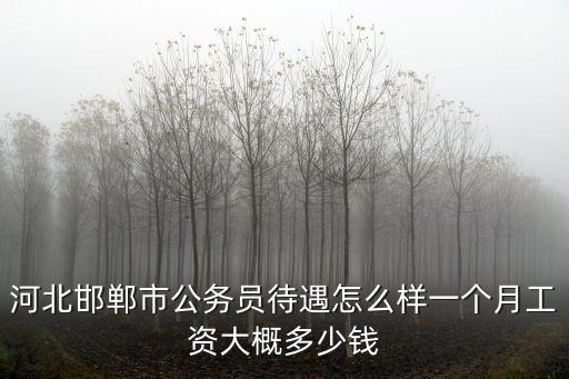 河北省獄醫工資多少一個月河北,一個月工資大概多少錢