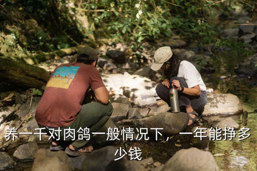 廊坊市兩個(gè)月肉鴿多少錢(qián)一只,軍鴿一只多少錢(qián)報(bào)價(jià)