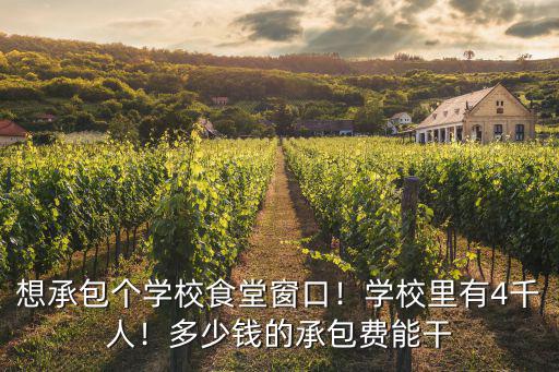 六安校園食堂承包多少錢,想承包個學校食堂窗口