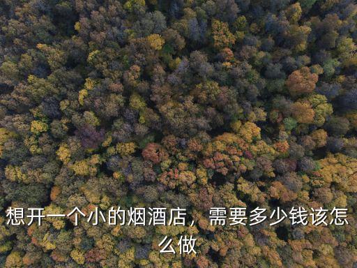 邯鄲開煙酒店多少錢,開個(gè)煙酒店要花多少錢