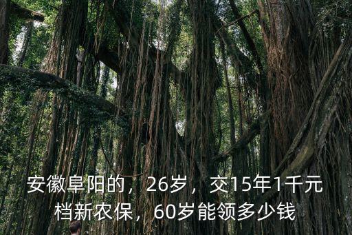 安徽阜陽(yáng)的，26歲，交15年1千元檔新農(nóng)保，60歲能領(lǐng)多少錢