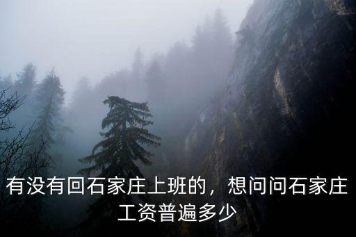 石家莊藥監(jiān)局工資多少,石家莊大部分人工資是多少