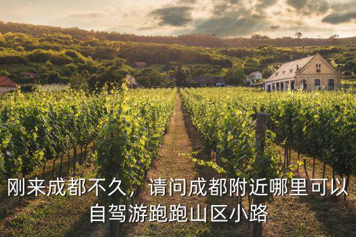 成都哪里飆車好,剛來(lái)成都不久