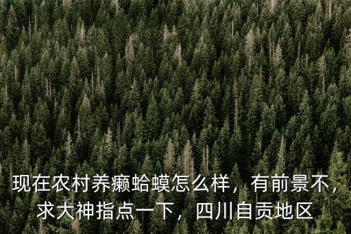 自貢哪里有養(yǎng)鴨廠,四川自貢地區(qū)